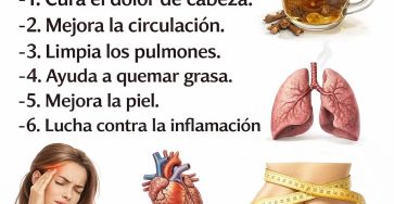 652626014 122184973226467578 7419411985974676183 n