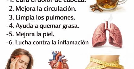 652626014 122184973226467578 7419411985974676183 n