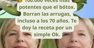 652856547 1949428168993477 5454350832481664872 n