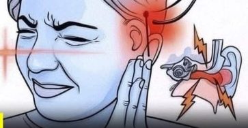 653701268 1448802500625505 5780127538568763127 n