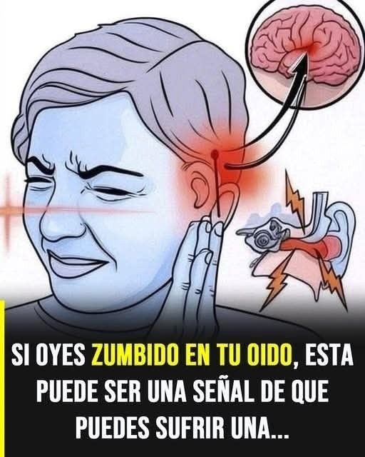 653701268 1448802500625505 5780127538568763127 n