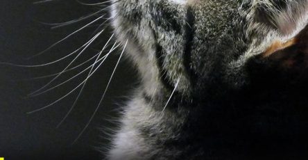 653715702 870926709335815 4207812780371898542 n