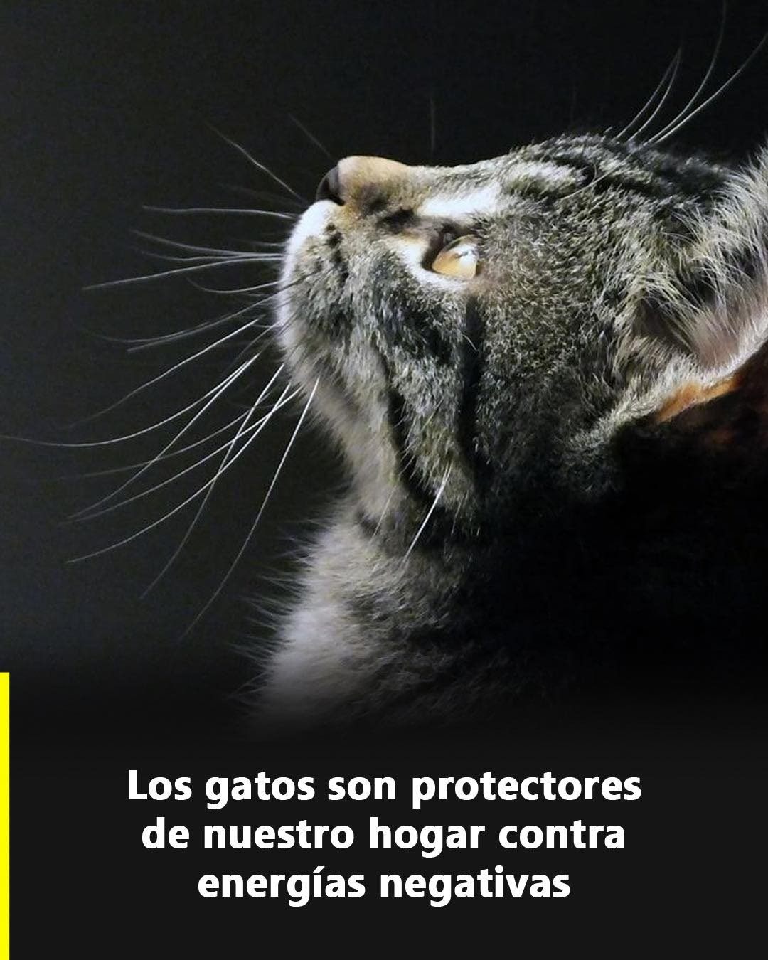 653715702 870926709335815 4207812780371898542 n