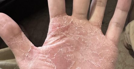 654349756 1497906695061358 6659568441976063939 n