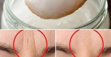 654426543 1695130424988109 1413474125807930443 n