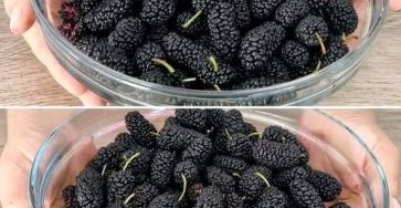 655251698 122101771988984988 467766093750703051 n