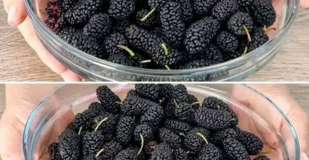 655251698 122101771988984988 467766093750703051 n