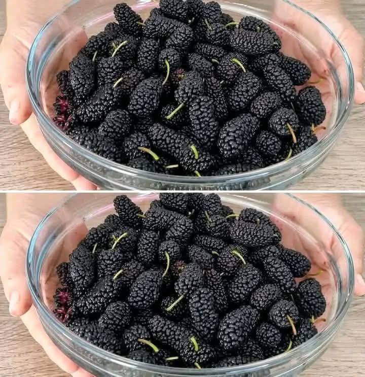 655251698 122101771988984988 467766093750703051 n