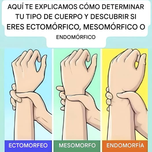 655832403 2413013389120727 7368037542083778276 n