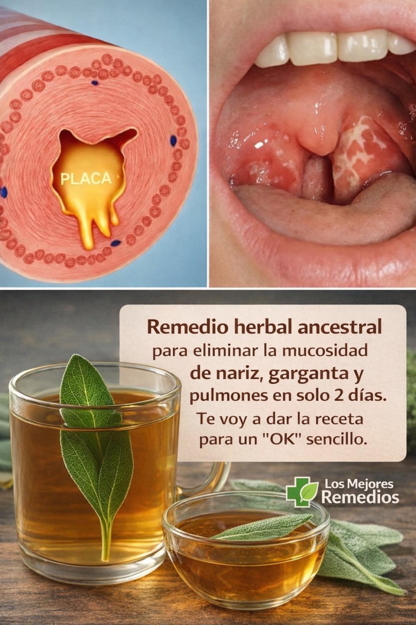 656890172 1729839534881297 3608897392161560388 n