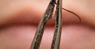 656912709 122280090764050774 5398262318715789406 n