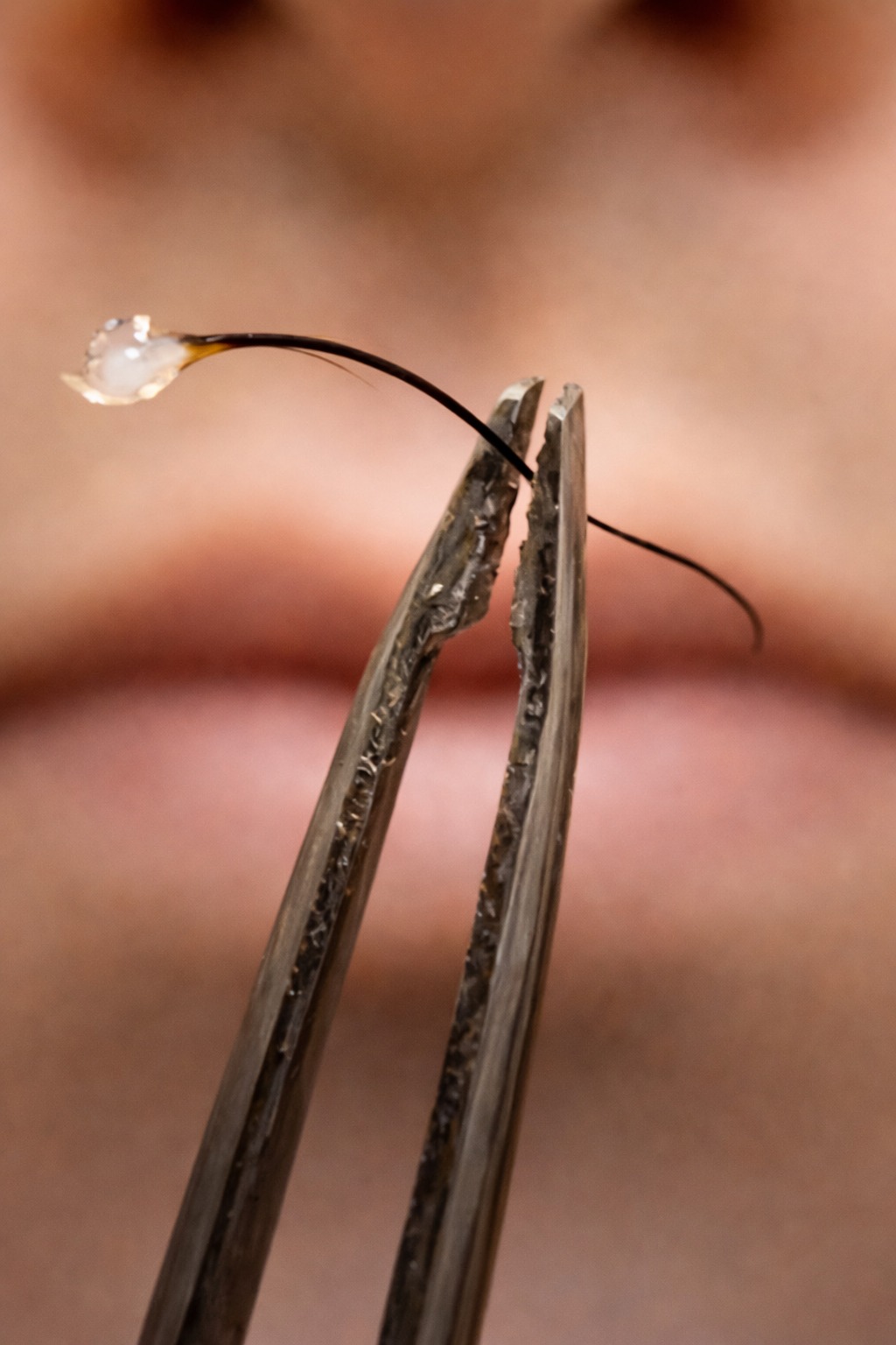 656912709 122280090764050774 5398262318715789406 n