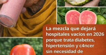 657046298 122257919282155895 4728367020244532320 n