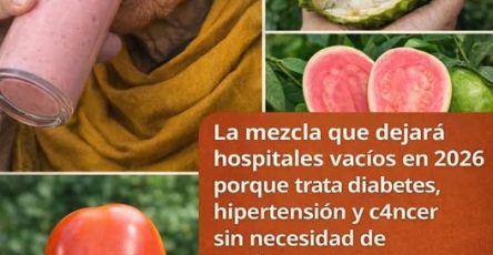 657046298 122257919282155895 4728367020244532320 n