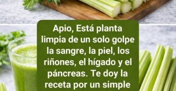 658149314 1477817733808332 3866728591643631650 n