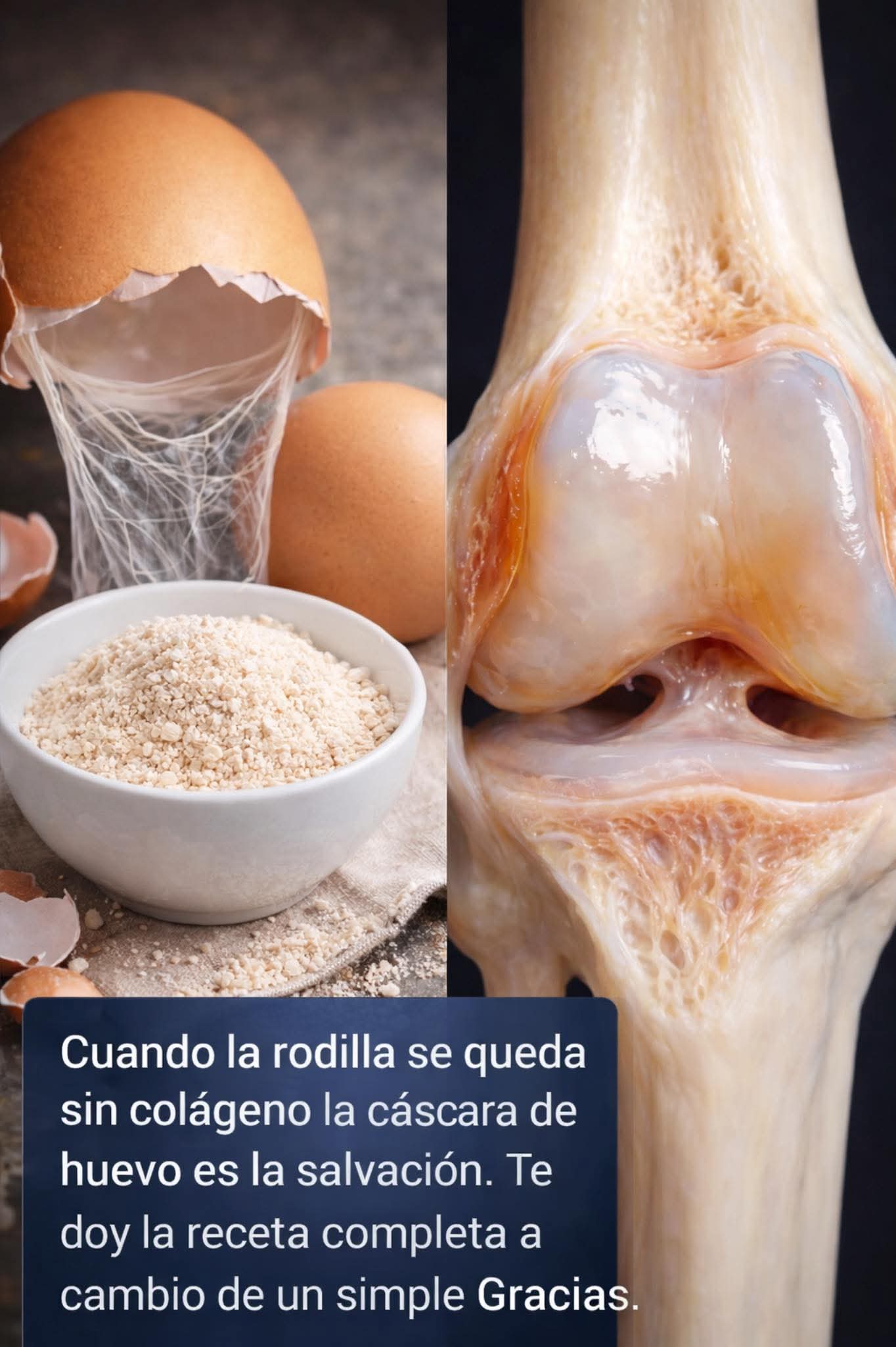 659151589 1453568746496205 294021481091582047 n