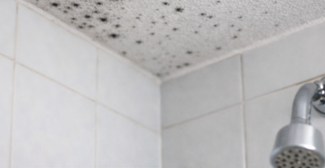 73162834 bae6 49c9 bad8 89cc9745220e