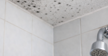 73162834 bae6 49c9 bad8 89cc9745220e