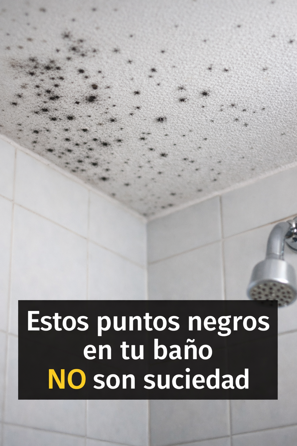 73162834 bae6 49c9 bad8 89cc9745220e