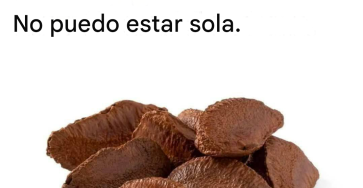 Capture decran 2026 03 08 033655