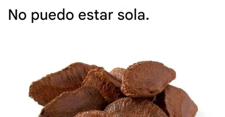 Capture decran 2026 03 08 033655