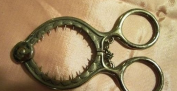 Screenshot 2026 02 07