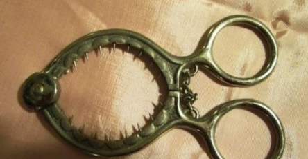 Screenshot 2026 02 07