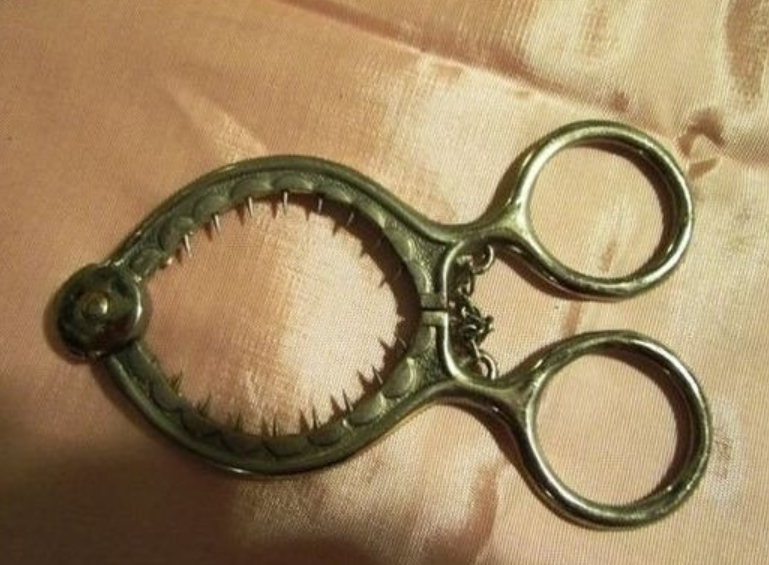 Screenshot 2026 02 07