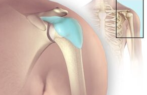 Screenshot 2026 03 24