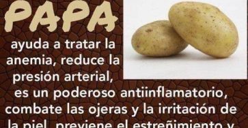 WhatsApp Image 2025 08 22 at 21.07.27