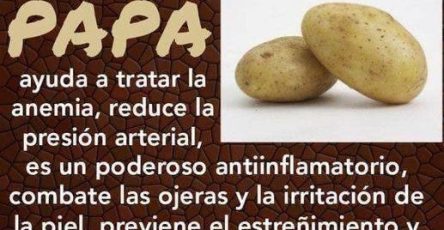 WhatsApp Image 2025 08 22 at 21.07.27