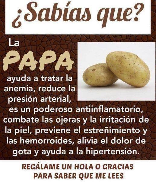 WhatsApp Image 2025 08 22 at 21.07.27