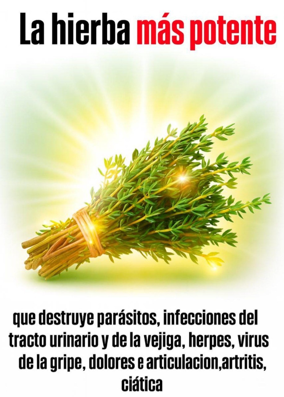 WhatsApp Image 2025 09 20 at 19.10.35