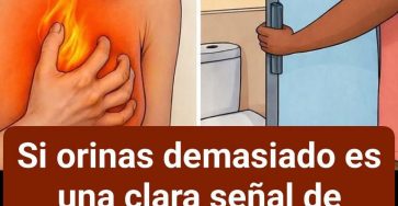 WhatsApp Image 2026 01 20 at 01.17.31