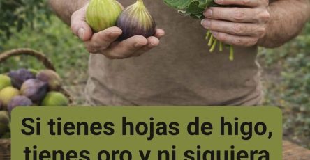 WhatsApp Image 2026 01 28 at 21.39.35