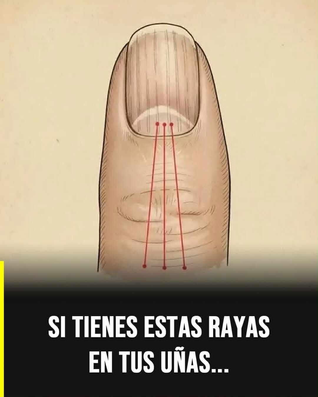 WhatsApp Image 2026 03 02 at 03.23.34