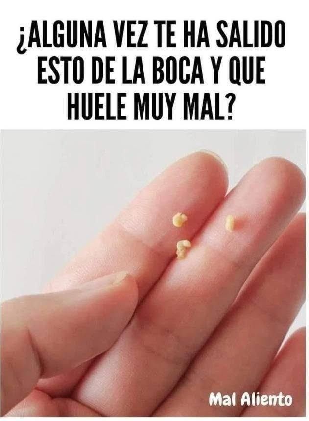 WhatsApp Image 2026 03 04 at 02.17.23