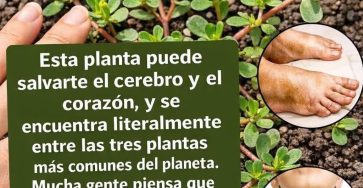 WhatsApp Image 2026 03 07 at 21.07.56