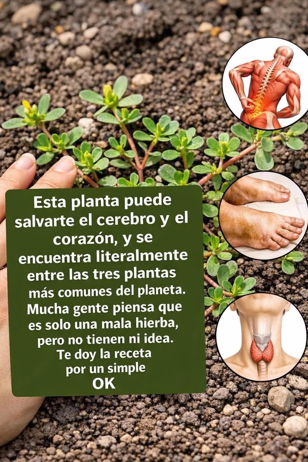 WhatsApp Image 2026 03 07 at 21.07.56