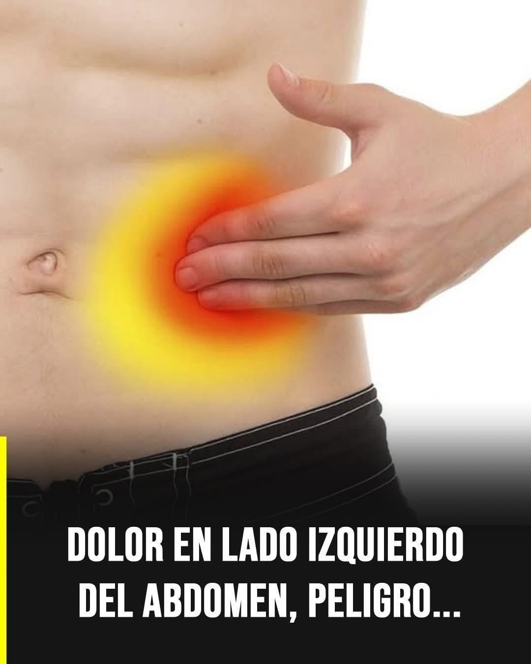 WhatsApp Image 2026 03 08 at 02.24.19