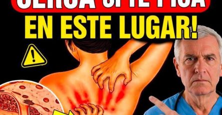 WhatsApp Image 2026 03 15 at 01.04.03