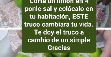 WhatsApp Image 2026 03 21 at 05.04.07