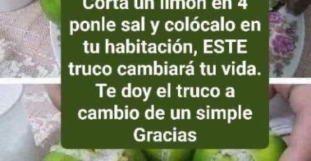 WhatsApp Image 2026 03 21 at 05.04.07