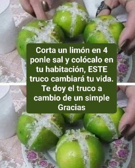 WhatsApp Image 2026 03 21 at 05.04.07