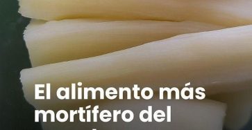 WhatsApp Image 2026 03 25 at 15.26.56