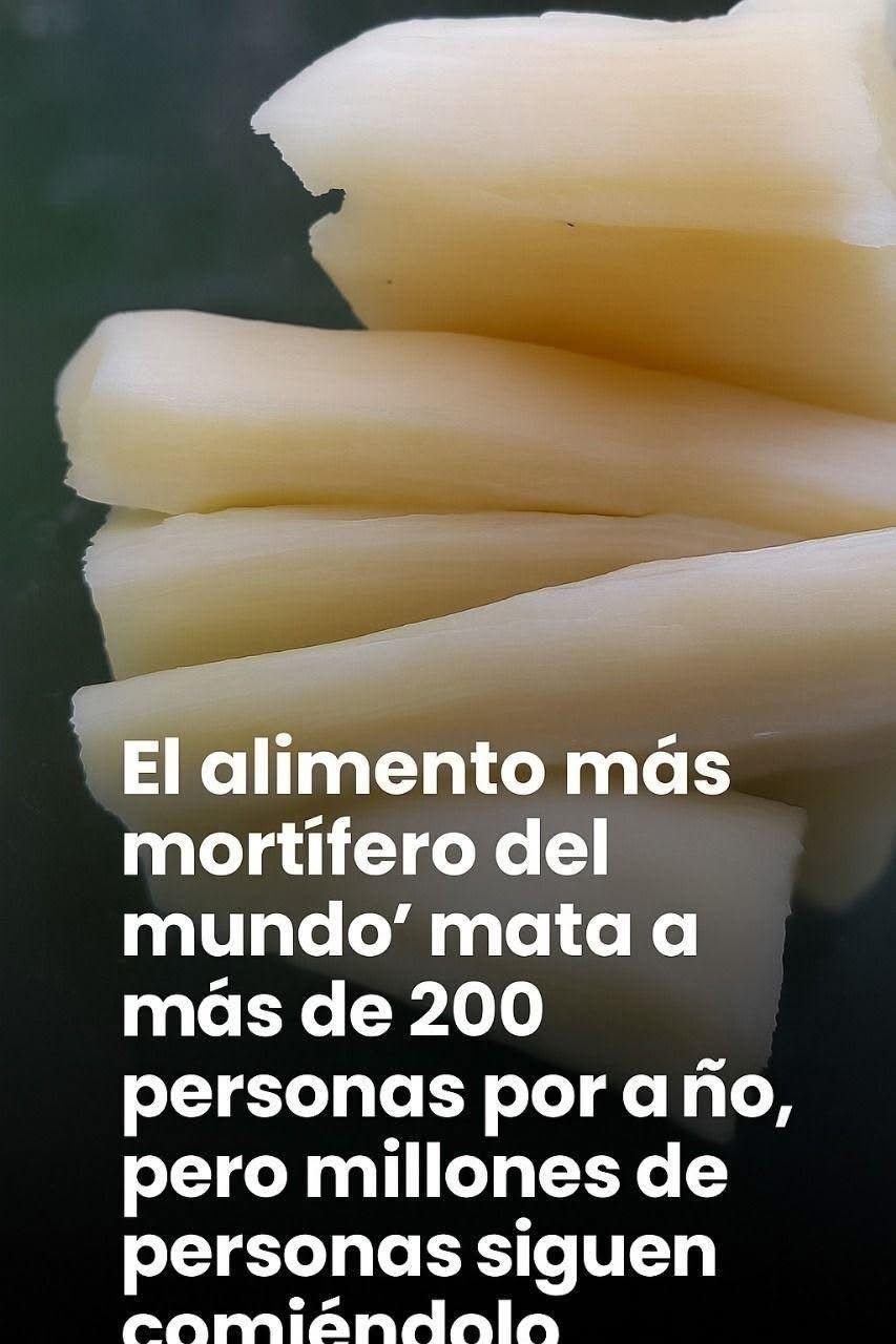 WhatsApp Image 2026 03 25 at 15.26.56