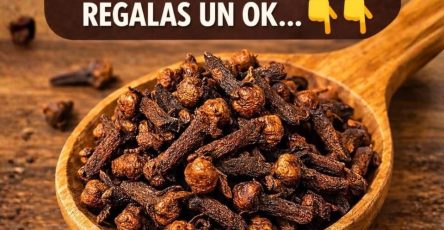 WhatsApp Image 2026 03 26 at 04.40.01