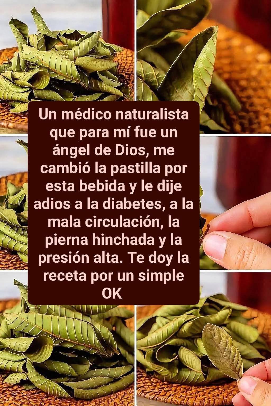 B853414f 725f 47cd b9b3 8c35d15ea0b6