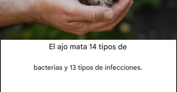 De099959 268b 4a04 9ad9 38c1ff585cef