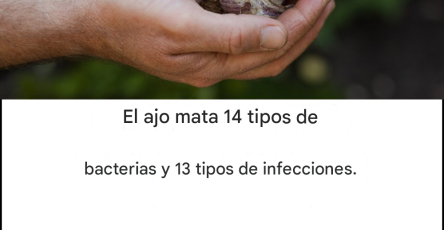 De099959 268b 4a04 9ad9 38c1ff585cef